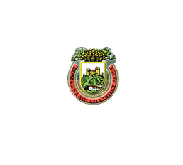 Casa Vinicola Battistini